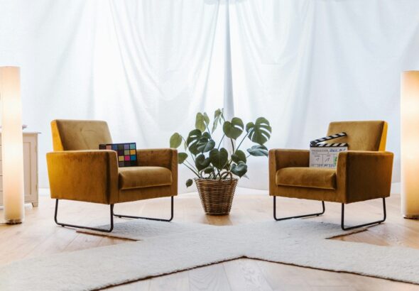 a living room with two chairs and a plant